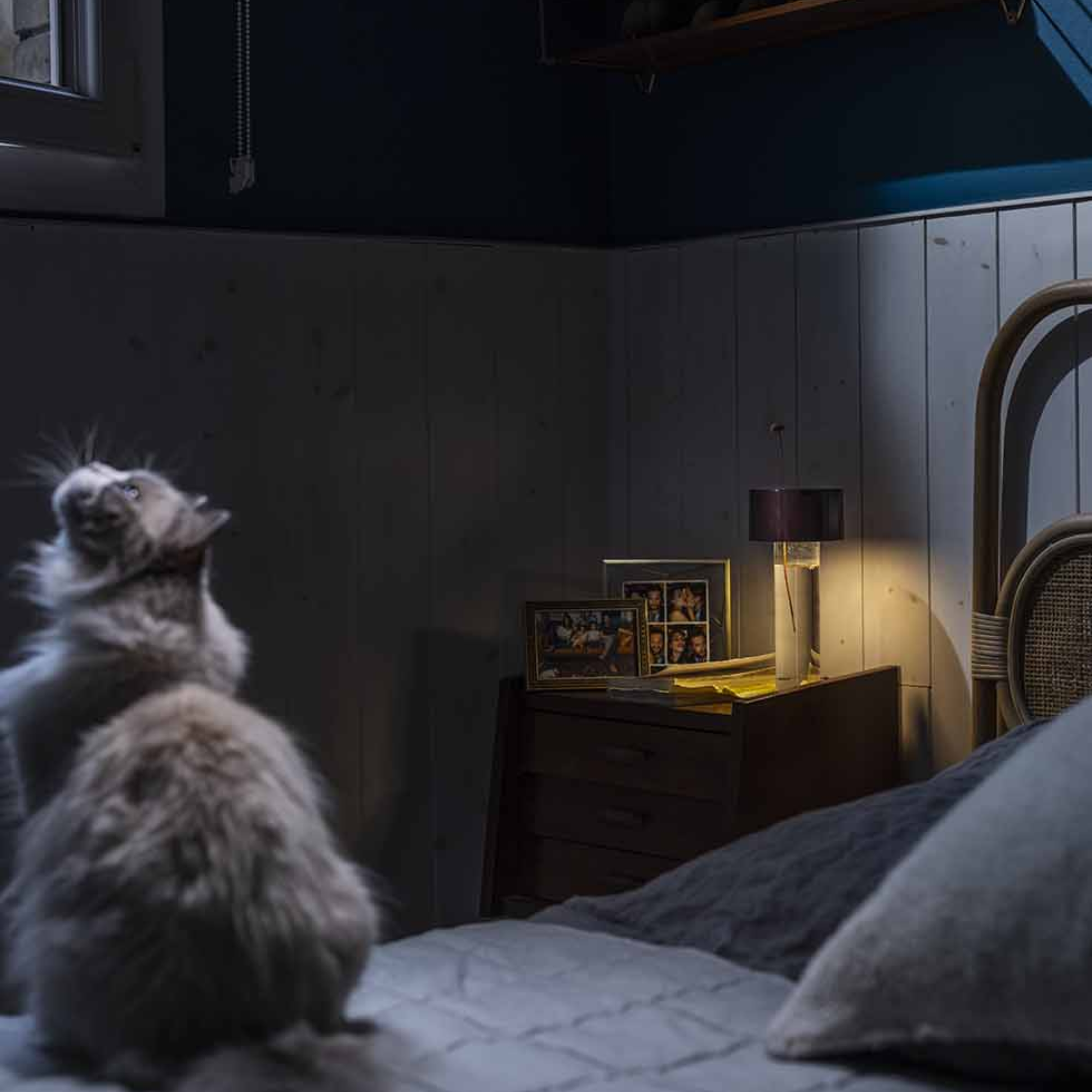 The burgundy Fleur Portable Table Lamp from Foscarini in a primary bedroom beside the bed on top of a bedside table.