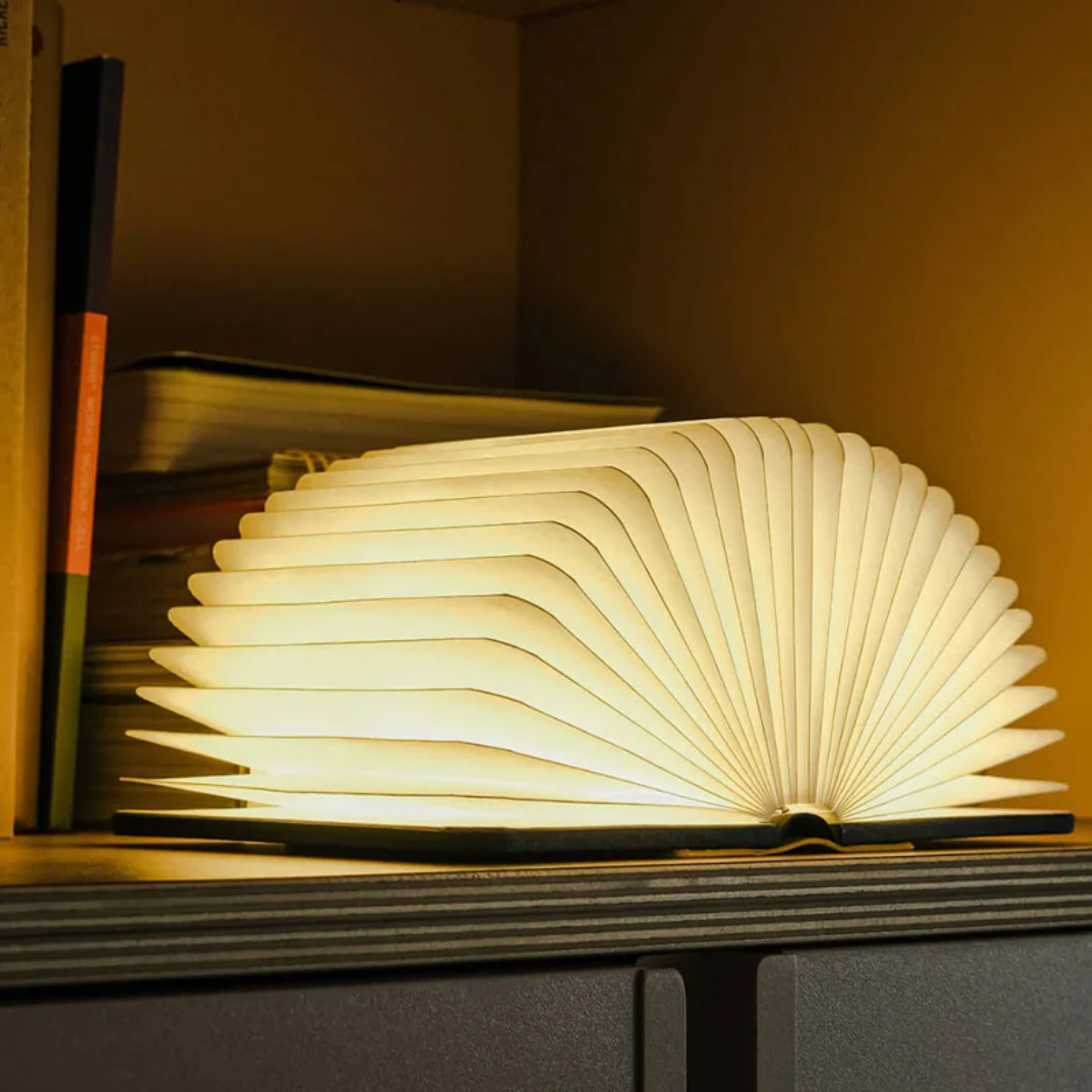 The Lito Mini Cordless Book Lamp from Lumio in a home office on a bookshelf. all-groups