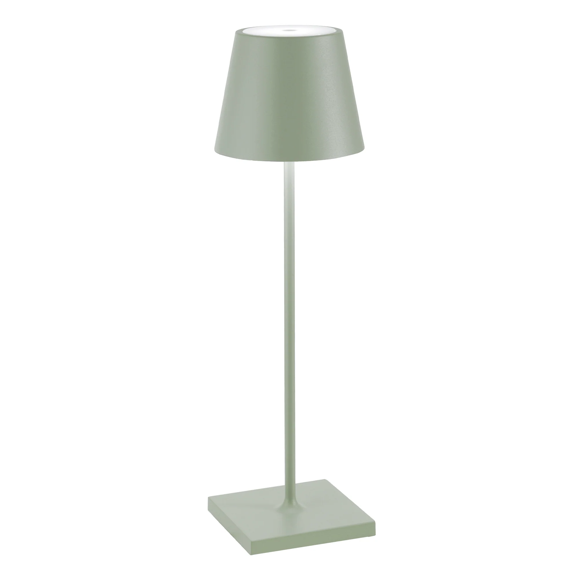 The sage Poldina Pro from Zafferano.