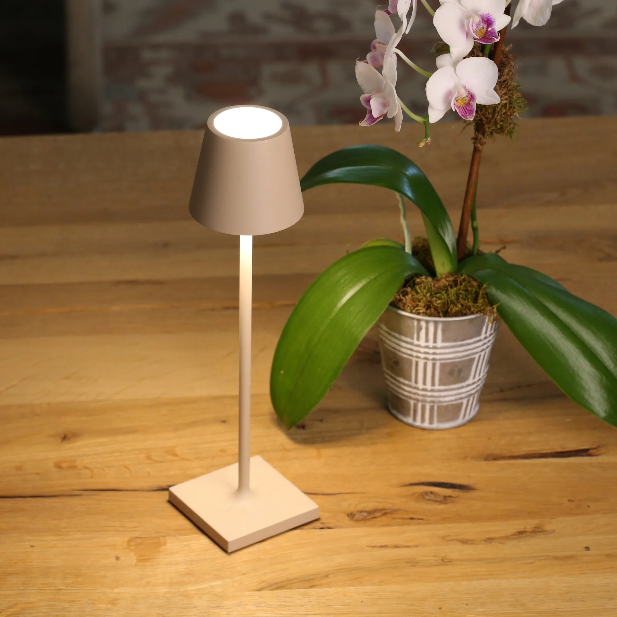 The sand Poldina Pro Micro Cordless Lamp from Zafferano on a wooden dining table beside a plant.