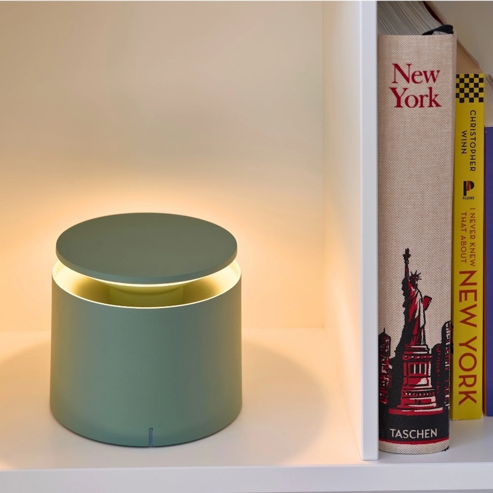 The sage PushUp Pro Cordless Lamp from Zafferano in a lounge on a bookshelf.