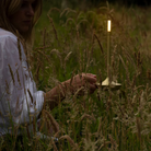 The brass Wick Cordless Lamp from Graypants in a garden.