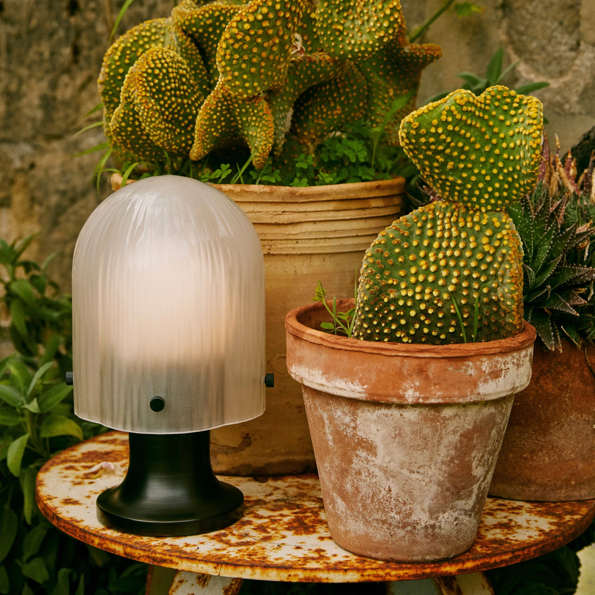 The Seine Portable Table Lamp from GUBI in a garden, on top of a table next to various cacti and aloe.
