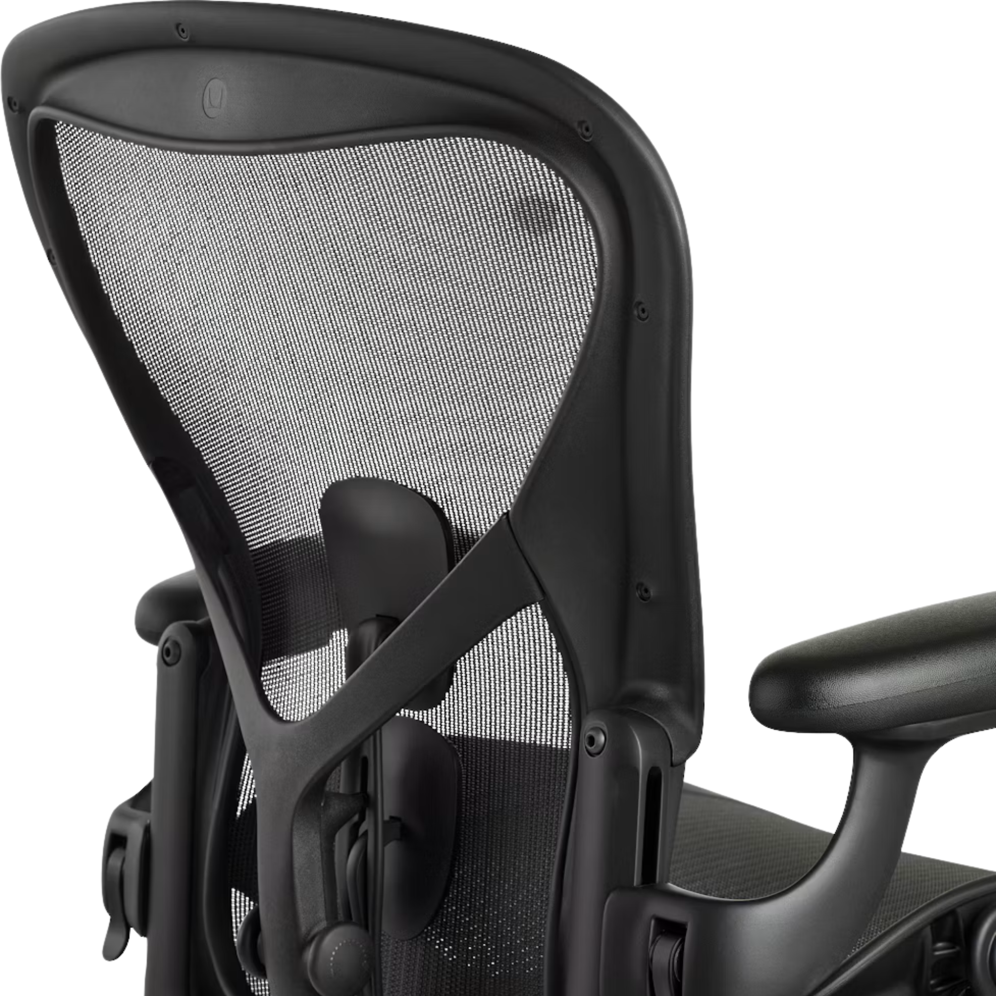 The Adjustable Posturefit SL back of the Aeron Office Chair from Herman Miler shown close up.
