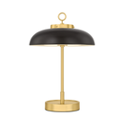 The Hector Cordless Table Lamp from Hudson Valley Lighting.