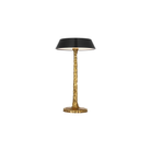 The Ilosi Sculpted Cordless Table Lamp from Visual Comfort Signature at an angle showing the LED diffusor.