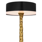 The body and the shade of the Ilosi Sculpted Cordless Table Lamp from Visual Comfort Signature shown in detail.