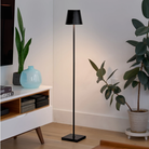 The black Poldina Pro L Floor Lamp from Zafferano in a TV room beside a console and television.