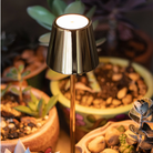 The glossy gold Poldina Pro Micro Cordless Lamp from Zafferano on a table, illuminating plants.