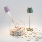 The sage Poldina Pro Micro Cordless Lamp from Zafferano next to a jar of candy.