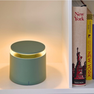 The sage PushUp Pro Cordless Lamp from Zafferano in a lounge on a bookshelf.